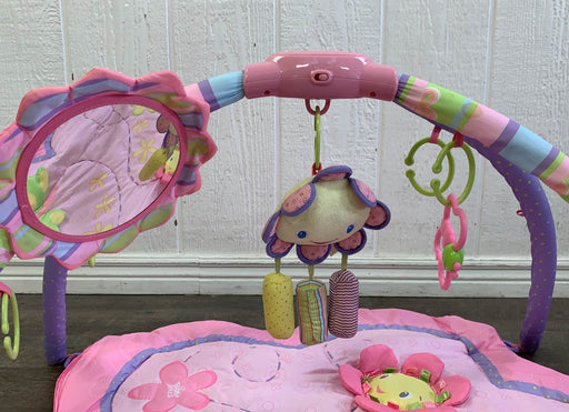 secondhand Bright Starts Activity Gym, Pretty in Pink