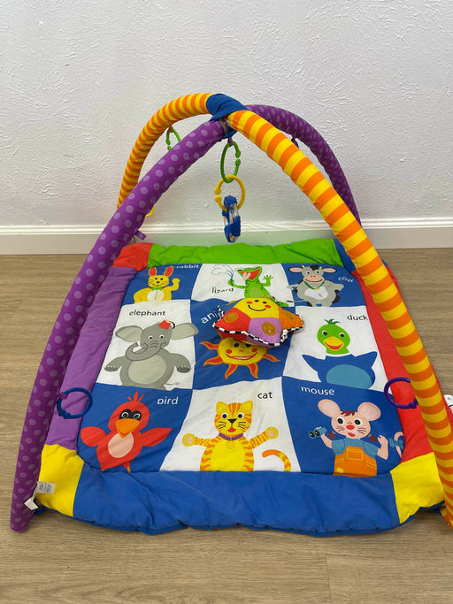 used Baby Einstein Play Gym