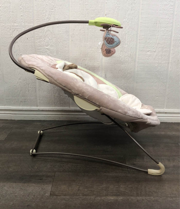 used Fisher Price Deluxe Bouncer