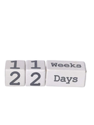 used Mud Pie Milestone Announcement Blocks