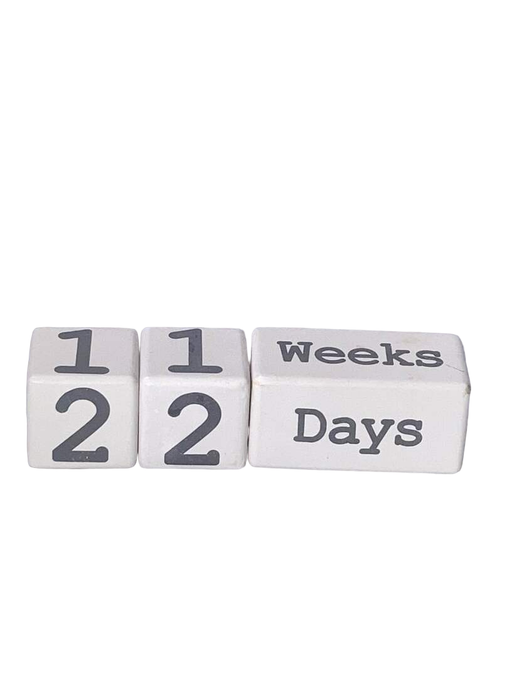 used Mud Pie Milestone Announcement Blocks