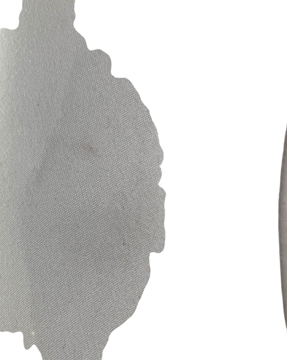 Shop Graco Soothe My Way Swing With Removable Rocker, Molly at GoodBuy Gear