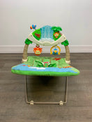 secondhand Fisher Price Baby Bouncer, Rainforest