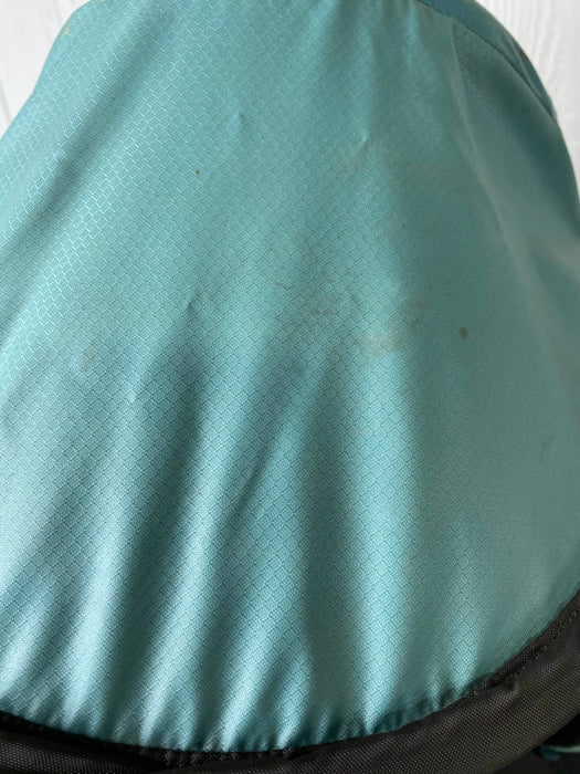 Sherpani Wahoo Child Carrier