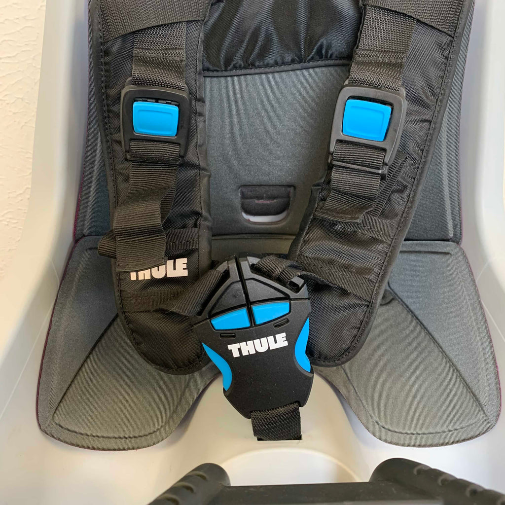 Thule RideAlong Mini
