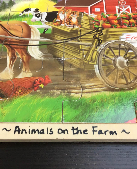 secondhand Melissa & Doug 24-Piece Wooden Jigsaw Puzzle