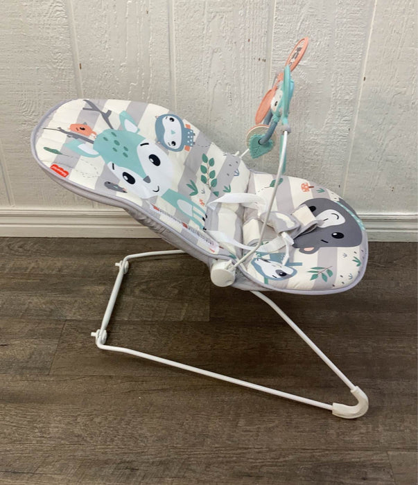 used Fisher Price Baby Bouncer