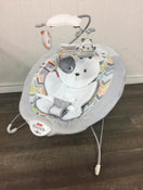 used Fisher Price Deluxe Bouncer