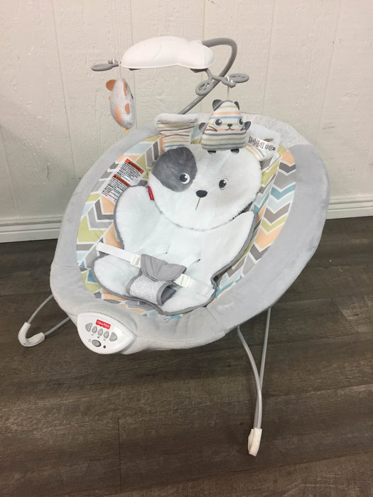 used Fisher Price Deluxe Bouncer