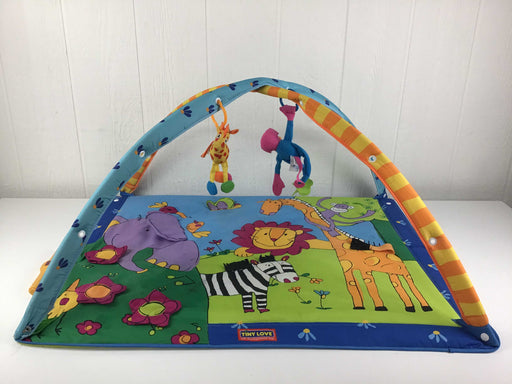 used Tiny Love Gymini Super Deluxe Activity Playmat