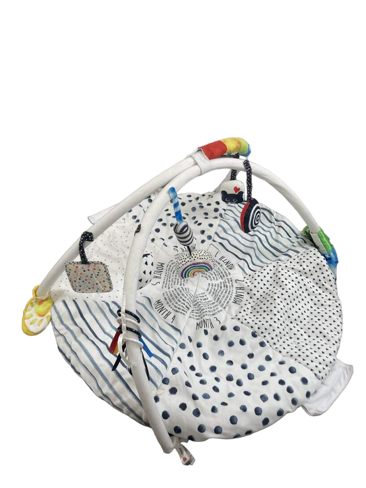 Shop Sassy Tummy Time Reversible Milestone Activity Gym at GoodBuy Gear