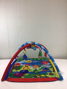 used Baby Einstein Caterpillar & Friends Play Gym With Lights And Melodies