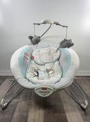 used Fisher Price Deluxe Bouncer