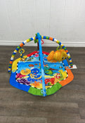 used Baby Einstein Play Gym