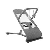 used Baby Delight Go With Me Alpine Deluxe Portable Bouncer, Charcoal