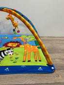secondhand Tiny Love Gymini Move And Play Activity Gym
