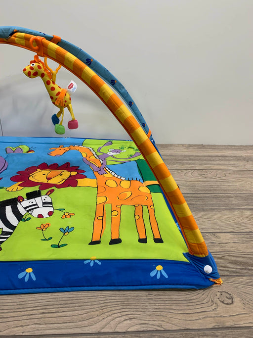 secondhand Tiny Love Gymini Move And Play Activity Gym