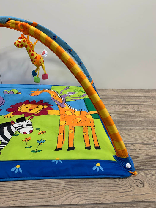 secondhand Tiny Love Gymini Move And Play Activity Gym