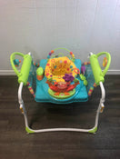 used Fisher Price First Steps Jumperoo