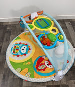 secondhand Skip Hop Explore And More Amazing Arch Activity Gym