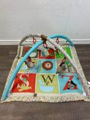 used Skip Hop Activity Gym/ Playmat