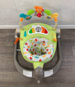 Fisher Price SpaceSaver Jumperoo Activity Center