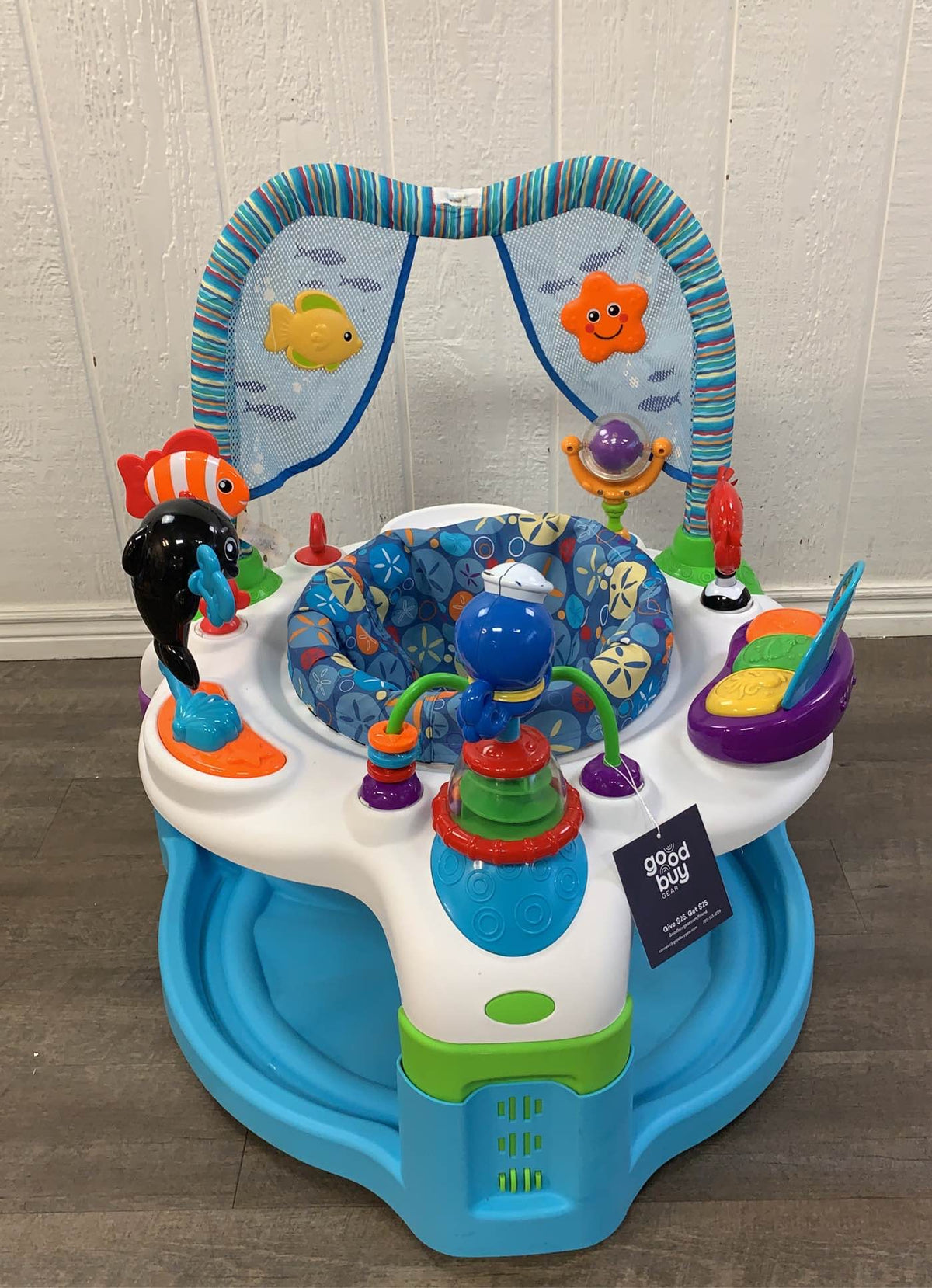 Goodbuy Gear Baby Einstein In Activity Gym And Saucer Baby
