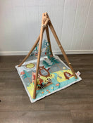 used Skip Hop Camping Cubs Activity Gym