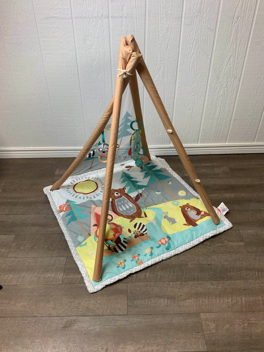 used Skip Hop Camping Cubs Activity Gym