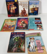 used BUNDLE Children’s Chapter Books