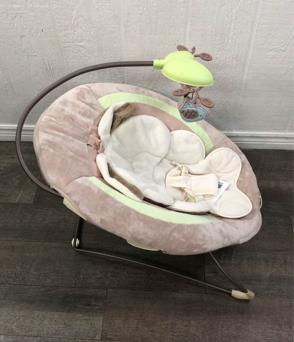 used Fisher Price Deluxe Bouncer