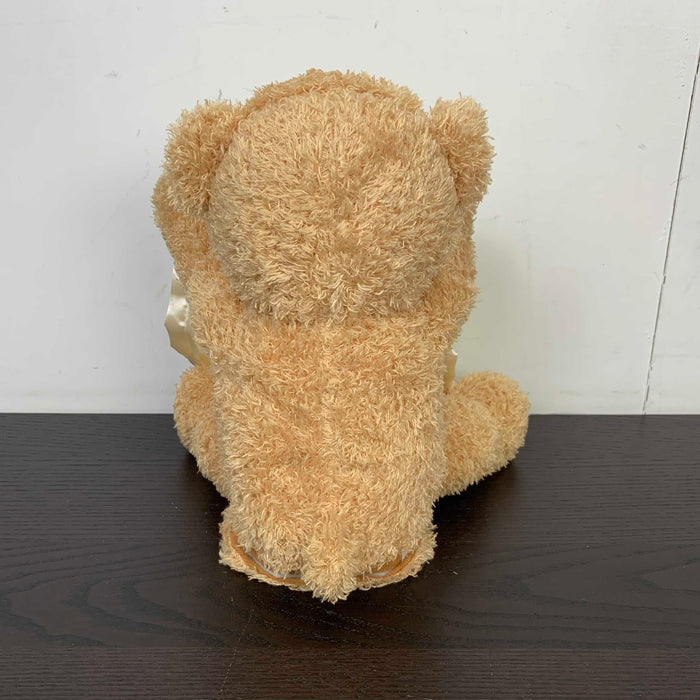 secondhand Gund Peek-A-Boo Bear