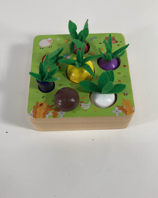 used Montessori Vegetable Set