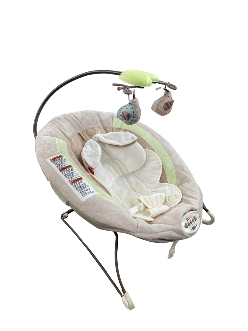 Fisher Price Deluxe Bouncer My Little Snugabunny