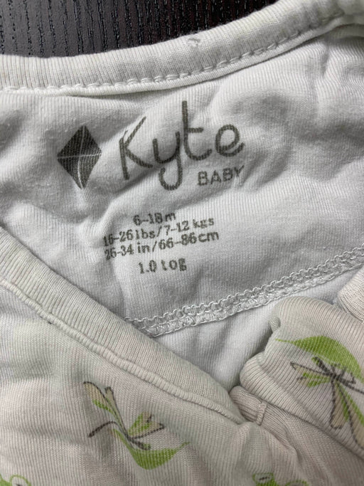 Shop Kyte Baby Sleep Bag, Medium(18-30 pounds), Frogs at GoodBuy Gear