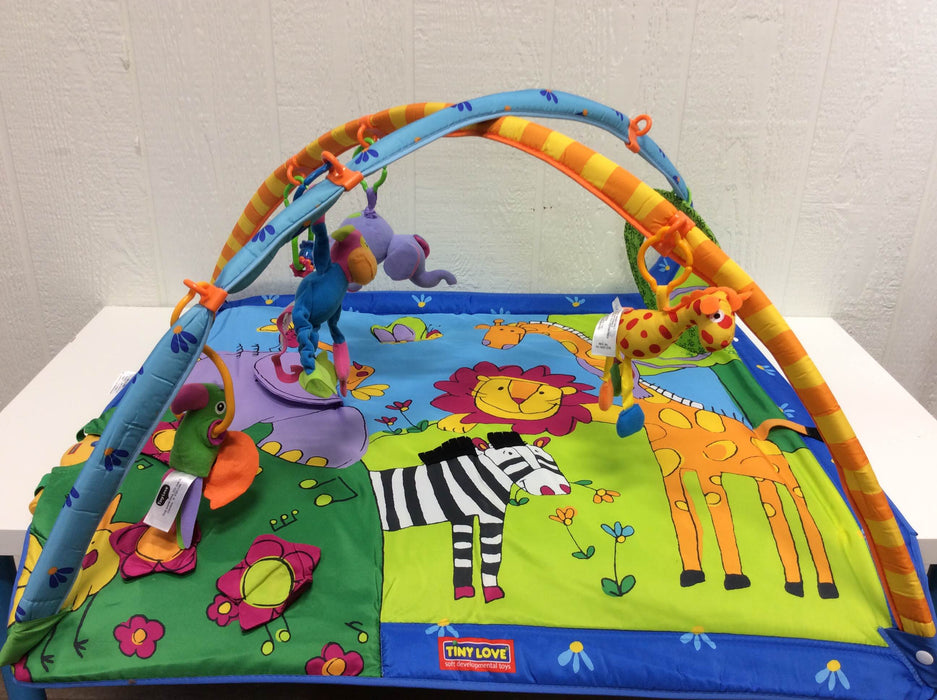 used Tiny Love Gymini Move And Play Activity Gym