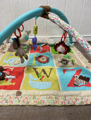 used Skip Hop Activity Gym/ Playmat
