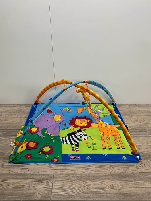 used Tiny Love Gymini Move And Play Activity Gym