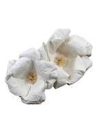 Shop Pottery Barn Kids Crepe Paper Flower Decor Set Of 2, White at GoodBuy Gear