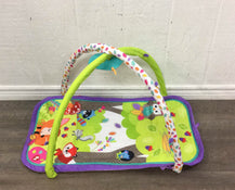 used Fisher Price 3 in 1 Musical Activity Gym With Music & Sounds