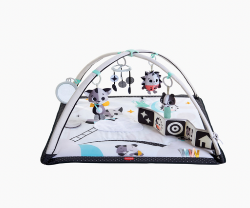 Shop Tiny Love Gymini Deluxe Activity Gym, Magical Tales Black and White at GoodBuy Gear