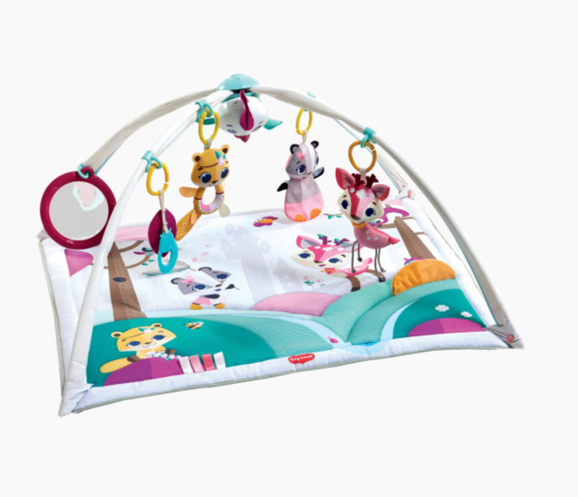 Tiny Love Gymini Super Deluxe Activity Playmat, Tiny Princess Tales