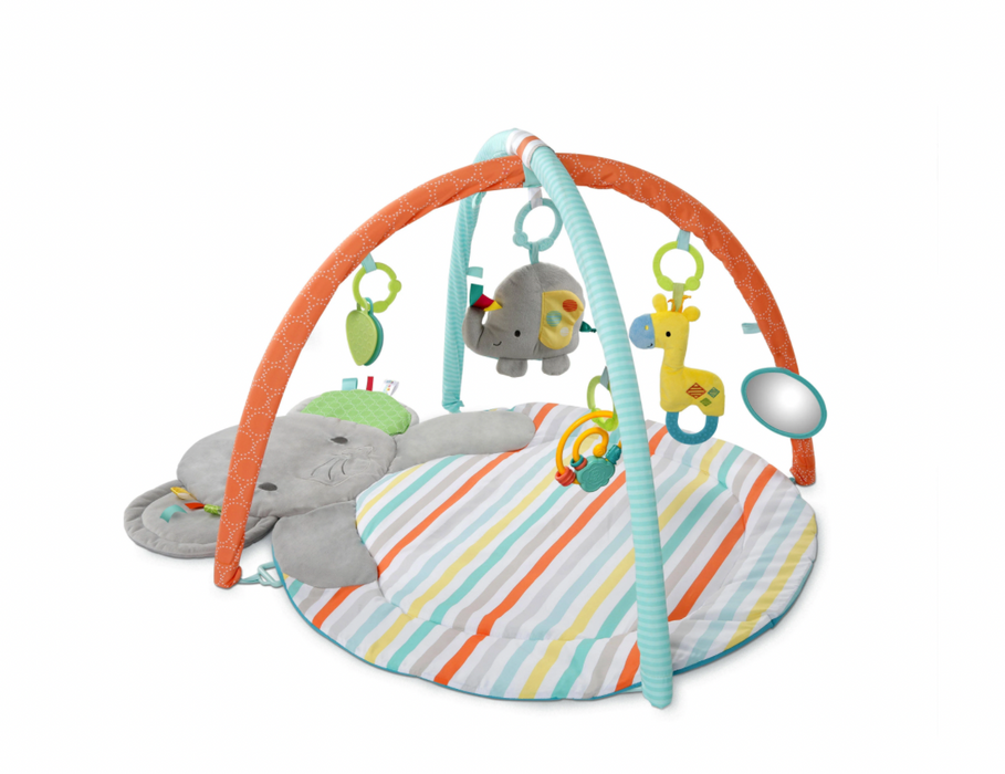 Bright Starts Activity Gym, Hug & Cuddle