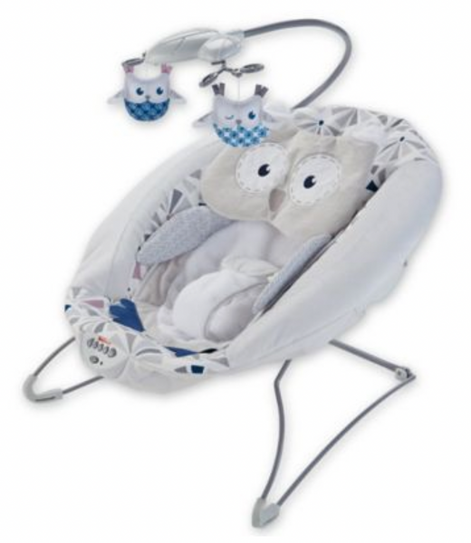 Fisher price deluxe bouncer owl love sales