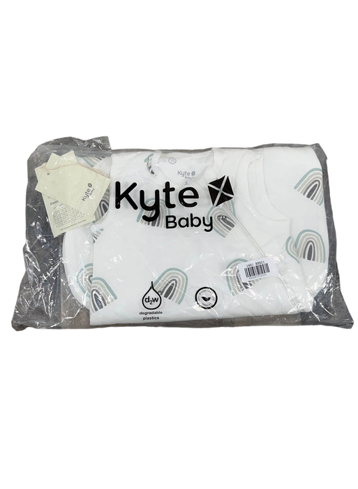 Shop Kyte Baby Sleep Bag TOG 1.0, Small( 14-20 pounds), Aloe Rainbow at GoodBuy Gear