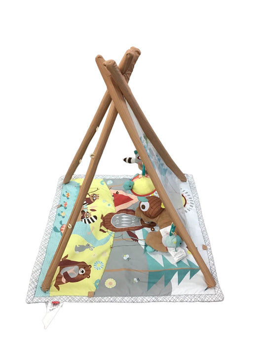 secondhand Skip Hop Camping Cubs Activity Gym