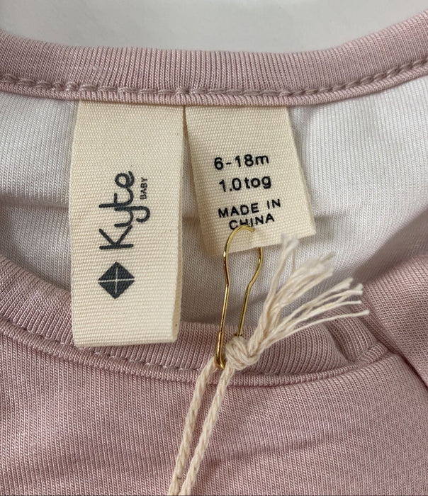 Shop Kyte Baby Sleep Bag, Medium(18-30 pounds), Blush at GoodBuy Gear