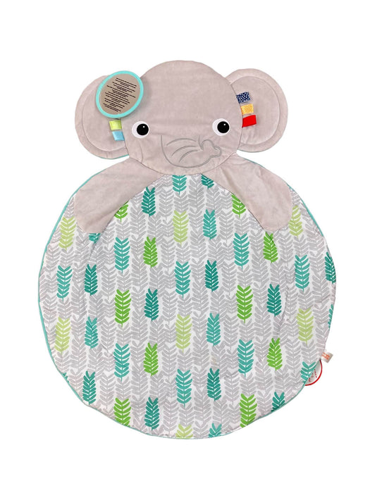 Shop Bright Starts Hug-n-Cuddle Playmat, Elephant/Green at GoodBuy Gear