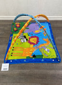 secondhand Tiny Love Gymini Super Deluxe Activity Playmat