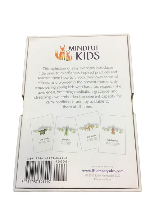 secondhand Little Renegades Mindful Kids Cards